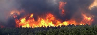 Калифорниагийн түүхэнд гарсан томоохон хэмжээний гал түймэр гэв