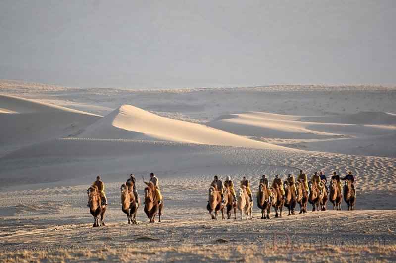 “Говь челленж 2020” олон өдрийн тэмээн аяллын реалити шоу нэвтрүүлэг