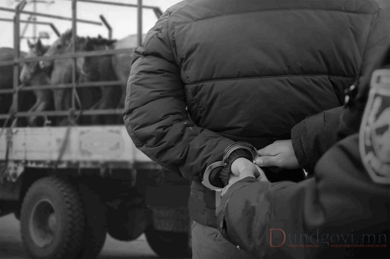 Малын хулгайтай тэмцэх аргаа олон төрөл болгоё